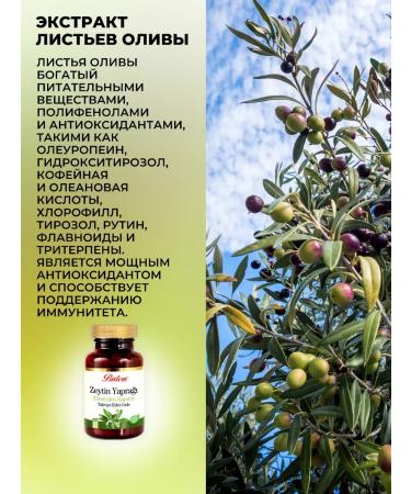Balen Dietary supplement for the heart and blood vessels olive leaves extract - Buy Online on GoSupps.com