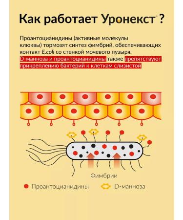 Uronext  - Buy Online on GoSupps.com