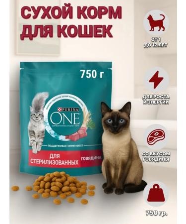 PURINA ONE Purin's dry food for sterilized cats of beef 750g