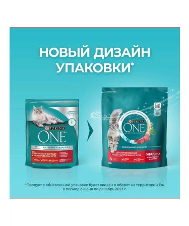 PURINA ONE Purin's dry food for sterilized cats of beef 750g - Buy Online on GoSupps.com