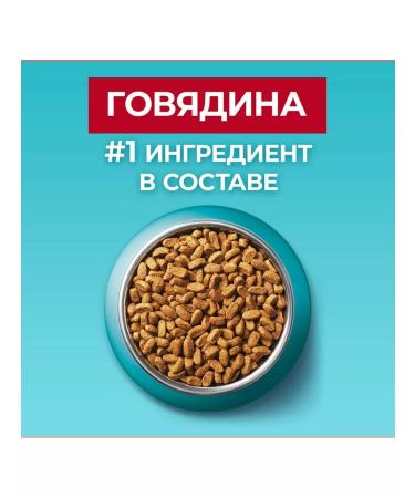 PURINA ONE Purin's dry food for sterilized cats of beef 750g - Buy Online on GoSupps.com