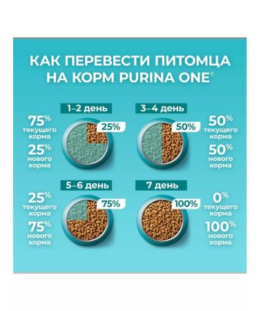 PURINA ONE Purin's dry food for sterilized cats of beef 750g - Buy Online on GoSupps.com