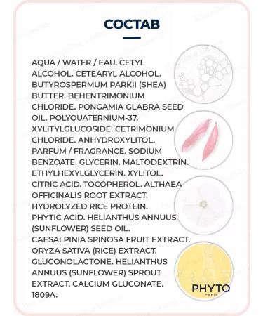 Phyto mask-shame color for dyed hair 200 ml - Buy Online on GoSupps.com