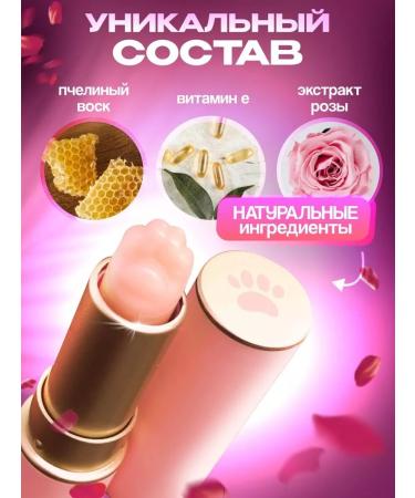 CostPrice Lip balm transparent cat's foot - Buy Online on GoSupps.com