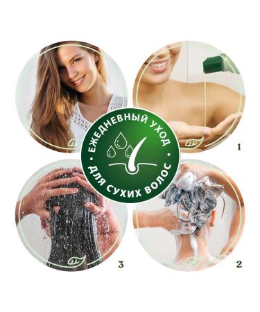 TIMOTEI Hair shampoo with avocado 400 ml - Buy Online on GoSupps.com