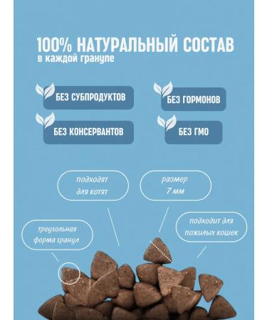 Pure Nature Dry hypoallergenic food for cats "chicken" - Buy Online on GoSupps.com