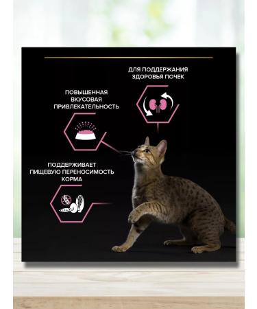 PRO PLAN Dry food for adult cats turkey 1.5 kg - Buy Online on GoSupps.com