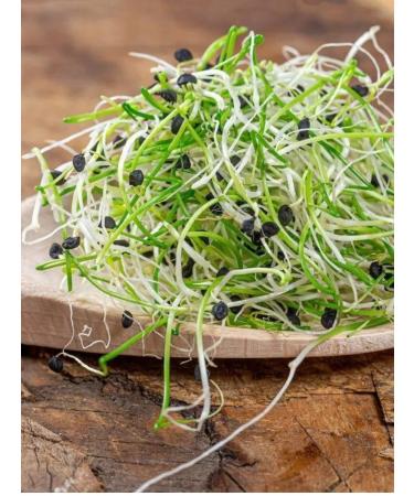 NOYER Black sesame seeds 1000 grams - Buy Online on GoSupps.com