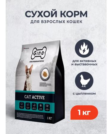 Gina Dry food for adults active cats with chicken - 1 kg