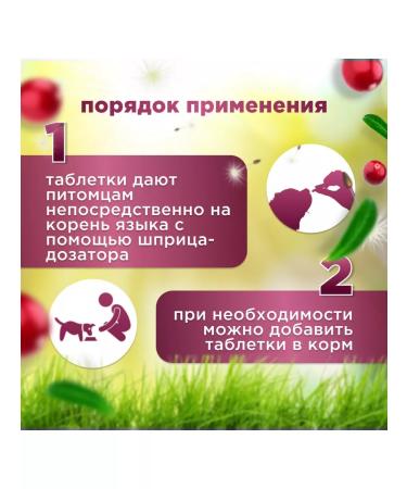 Apicenna Stop cystitis plus chewing tablets for dogs 40 pcs - Buy Online on GoSupps.com