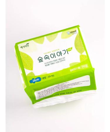 Eucalyptic Korean gaskets