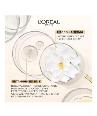 L'Oreal Paris Face cream age expert 65+ night 50 ml - Buy Online on GoSupps.com