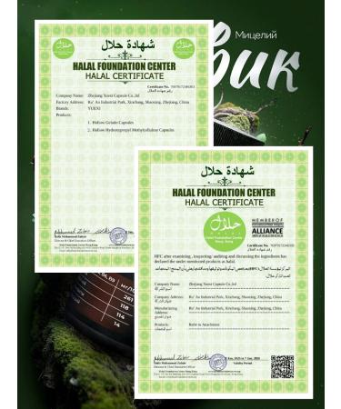 Kursakov Oleg Ezhovik crested mycelium 140 capsules of 800 mg each - Buy Online on GoSupps.com