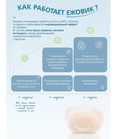 Kursakov Oleg Ezhovik crested mycelium 140 capsules of 800 mg each - Buy Online on GoSupps.com