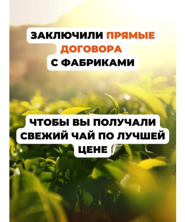 Healthy tea Black tea with ginger (Premium) 100 g - Buy Online on GoSupps.com