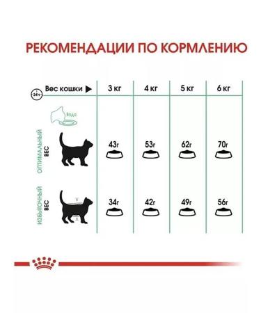 ROYAL CANIN Digestive Care for cats 400 grams - Buy Online on GoSupps.com
