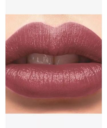Rimmel Lipstick Lasting Finish 058 Drop of Sherry 4g - Buy Online on GoSupps.com
