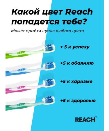 REACH STAY WHITE of average stiffness in the assortment - Buy Online on GoSupps.com