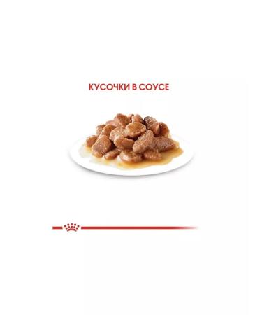 ROYAL CANIN Sterilized sauce wet food 85 g 28 pcs - Buy Online on GoSupps.com