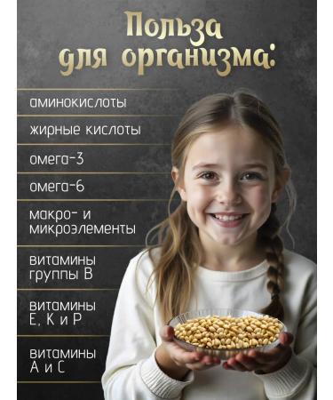 NUR KING Clean cedar nuts 500g - Buy Online on GoSupps.com