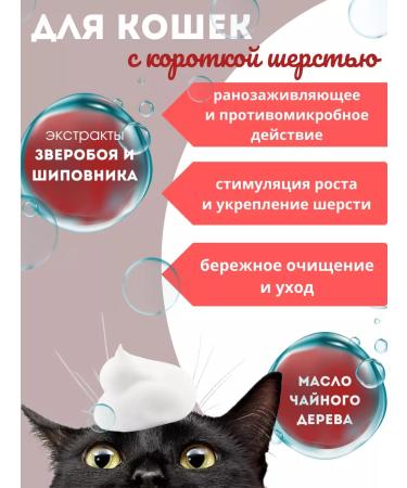 Biovax Shampoo for short -haired cats 355ml - Buy Online on GoSupps.com