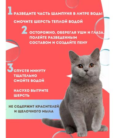 Biovax Shampoo for short -haired cats 355ml - Buy Online on GoSupps.com