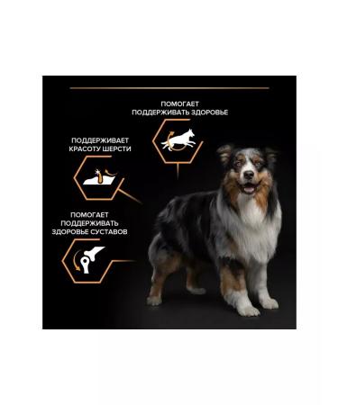 PRO PLAN Adult dog feed of medium breeds with chicken 3 kg - Buy Online on GoSupps.com