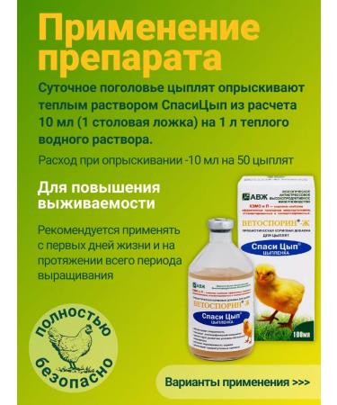 BashInkom Vetosporin-Z for chickens Probiotic spas-sautry 100 ml - Buy Online on GoSupps.com