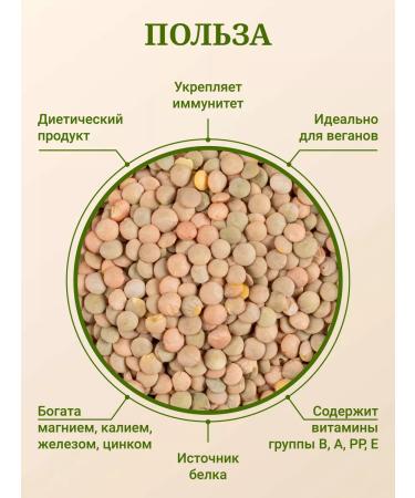 CARAVAN Green lentils 5 kg - Buy Online on GoSupps.com