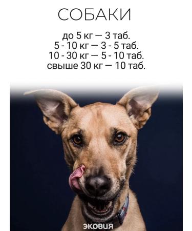 Zoocomfort Functional food to eliminate unpleasant odors - Buy Online on GoSupps.com