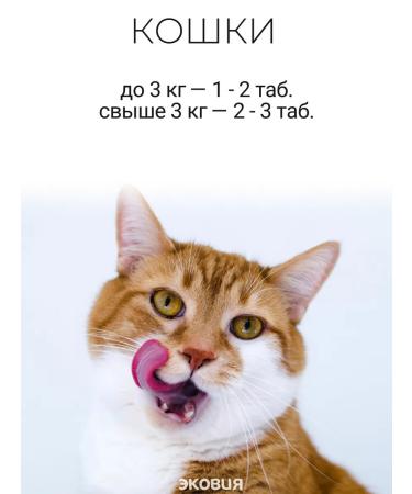 Zoocomfort Functional food to eliminate unpleasant odors - Buy Online on GoSupps.com