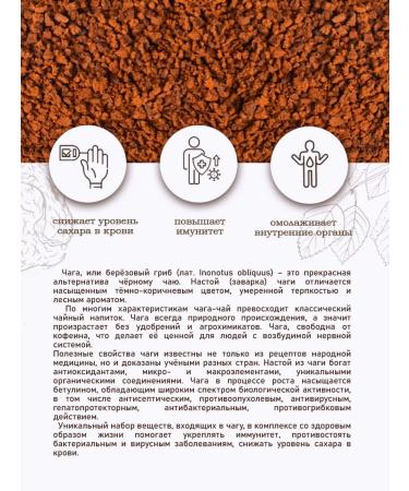 Vyatka Gifts of Nature Set of chaga birch tea crumpled 5 pcs 100 g - Buy Online on GoSupps.com