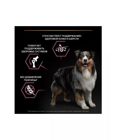 PRO PLAN for medium rocks sensitive skin salmon 3 kg - Buy Online on GoSupps.com