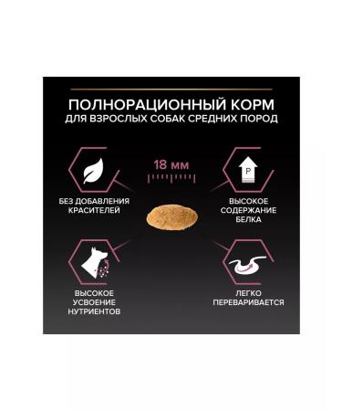 PRO PLAN for medium rocks sensitive skin salmon 3 kg - Buy Online on GoSupps.com