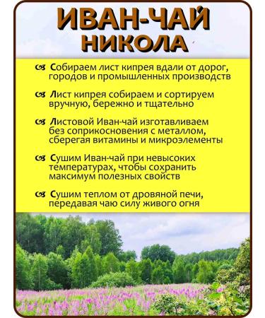 IVAN-TEA NIKOLA Ivan tea whole-leaf with petals of cedar cone 100 g - Buy Online on GoSupps.com
