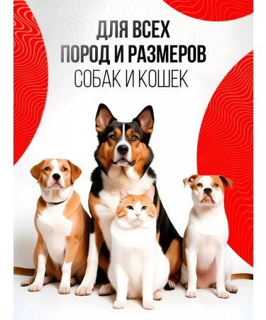 Meatlife Beef light 500 grams xxs dog treat - Buy Online on GoSupps.com