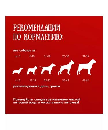 DogPet Feed and a treat for dogs with lung beef and salmon 350 g - Buy Online on GoSupps.com