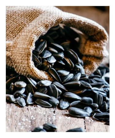 I LOVE and COOK Sunflower seeds raw indifferent large 10 kg - Buy Online on GoSupps.com