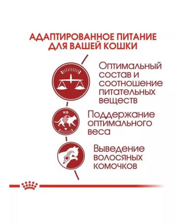 ROYAL CANIN Regular Fit for active cats 2 kg regulator fit - Buy Online on GoSupps.com