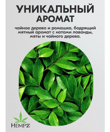 HEMPZ Shampoo Healthy hair tea tree and chamomile USA 500ML - Buy Online on GoSupps.com