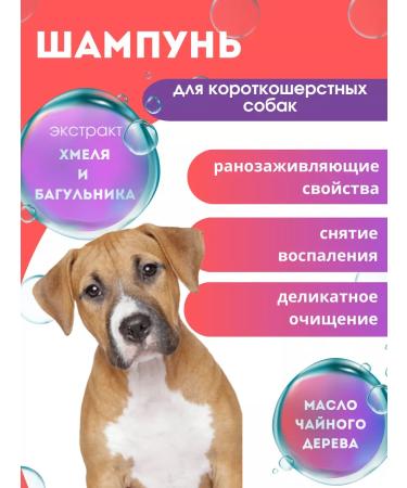 Biovax Shampoo for short -haired dogs 355ml 2pcs - Buy Online on GoSupps.com