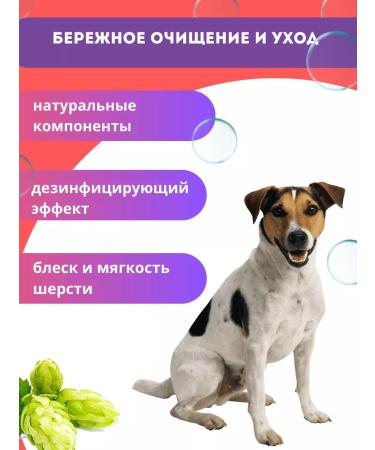 Biovax Shampoo for short -haired dogs 355ml 2pcs - Buy Online on GoSupps.com