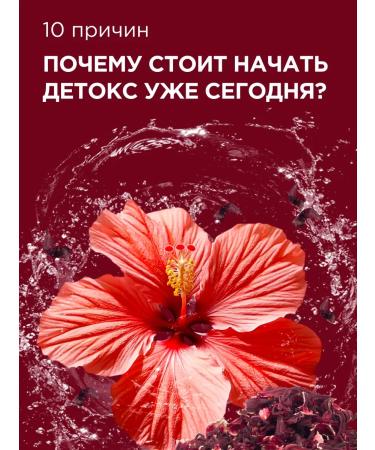 GUARCHIBAO Detox tea for weight loss in bags set - Buy Online on GoSupps.com