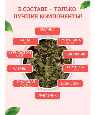 WILD ALTAI Tonic invigorating herbal tea - Buy Online on GoSupps.com