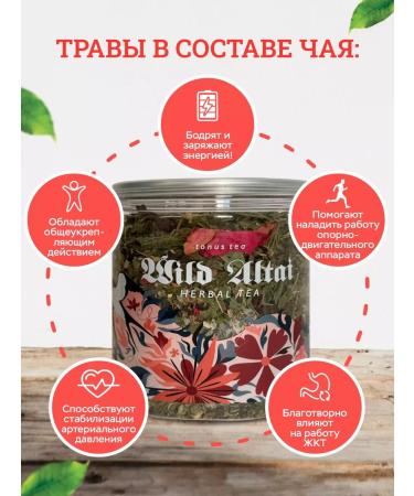 WILD ALTAI Tonic invigorating herbal tea - Buy Online on GoSupps.com