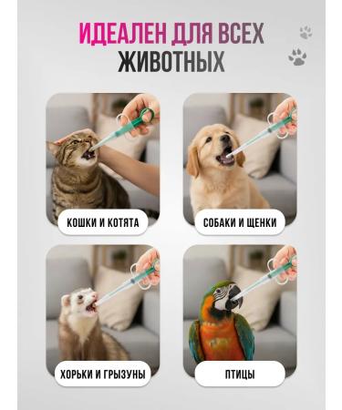 Zoowell Animal tabletor with silicone tip - Buy Online on GoSupps.com