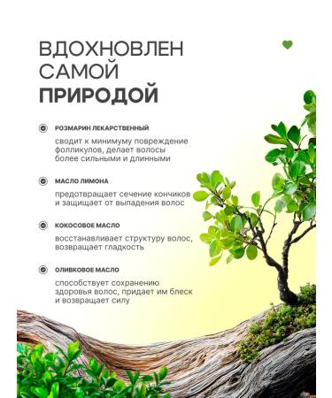 GreenSpa Solid hair shampoo with rosemary - Buy Online on GoSupps.com