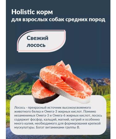 Ortipo Dry food for dogs of medium breeds 10 kg - Buy Online on GoSupps.com