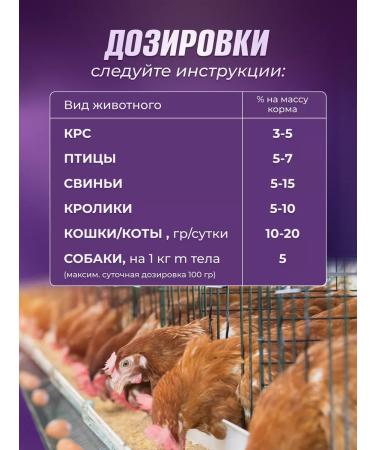 ALTAI FARMER Meat-bone flour 8 kg vitamin-fake additive - Buy Online on GoSupps.com