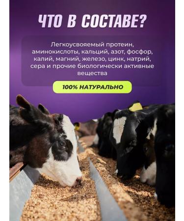 ALTAI FARMER Meat -bone flour 4 kg fodder additive - Buy Online on GoSupps.com